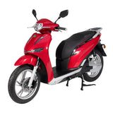 SY-T500(EEC) Electric Vehicle
