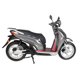 SY-T500(EEC) Electric Vehicle