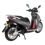 SY-T500(EEC) Electric Vehicle